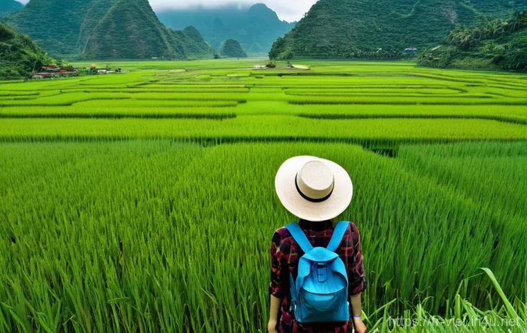 베트남 저가 항공사 추천 - **Prompt:** A solo female traveler, in her late 20s, with a relaxed and happy expression, stands on ...